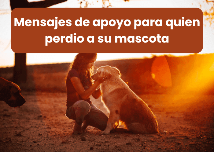 Mensajes de apoyo para quien perdio a su mascota